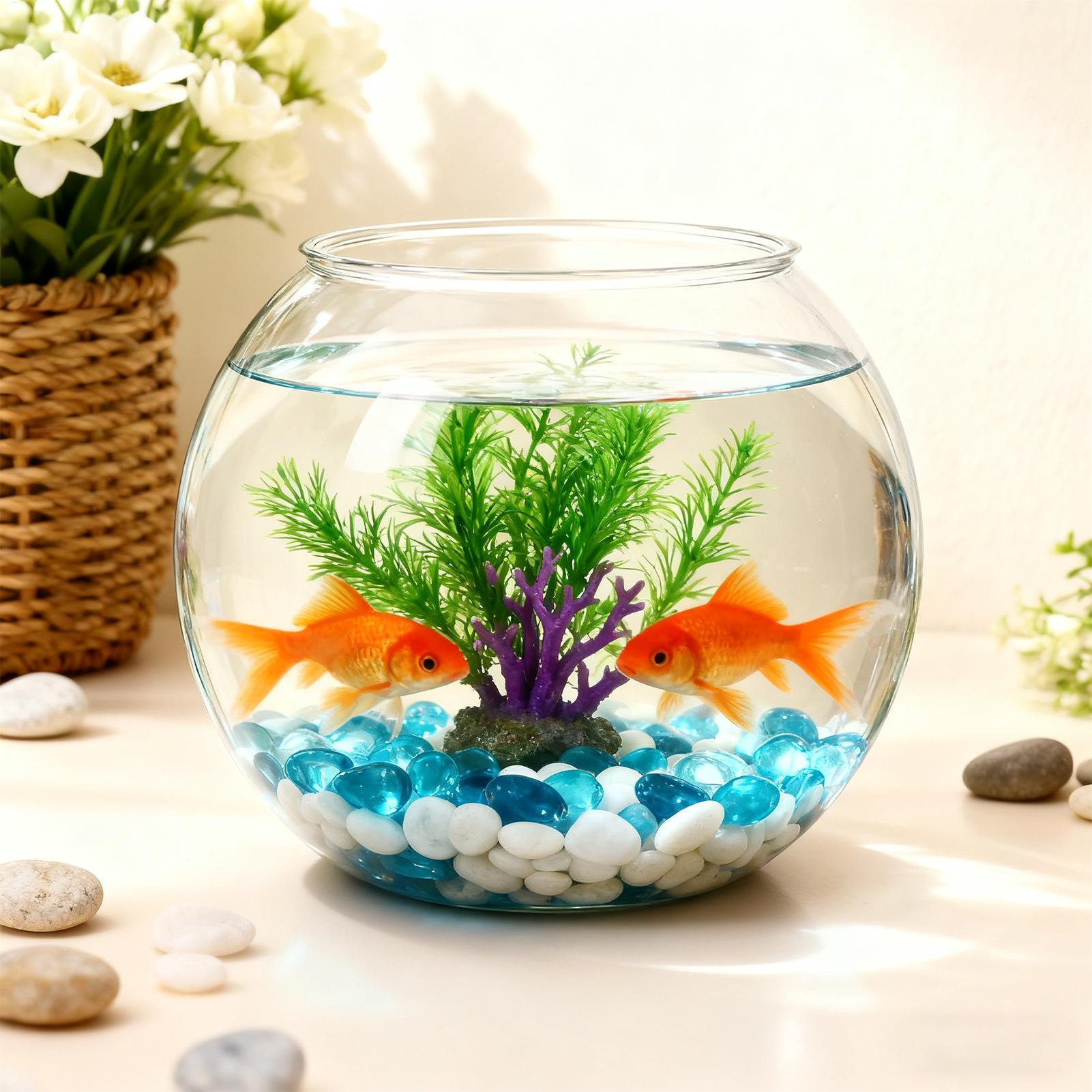 อุปกรณ์ตกแต่งตู้ปลาแบบประหยัดพ - Aquarium Fish In Bowl บทวิจารณ์และราคา