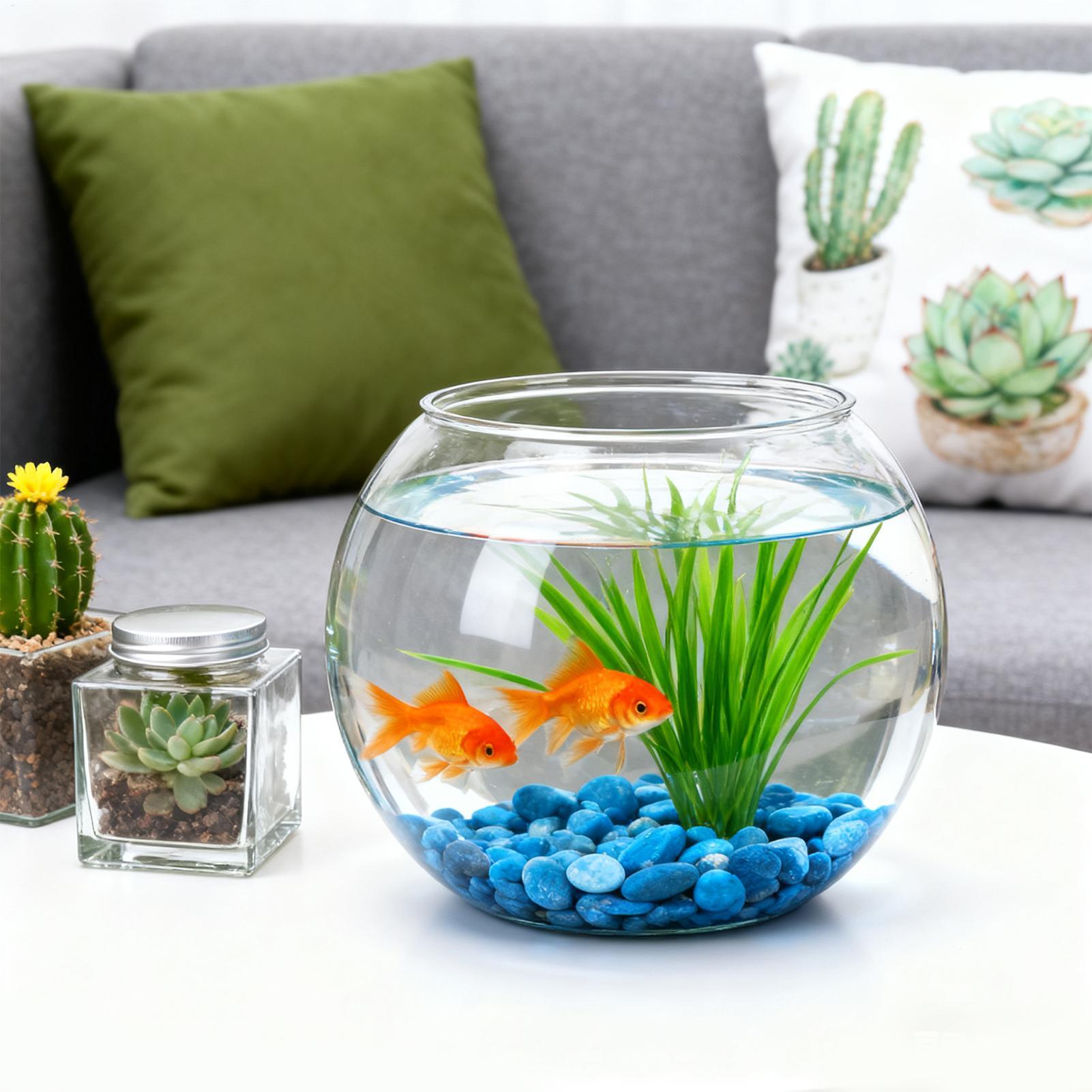 อุปกรณ์ตกแต่งตู้ปลาแบบประหยัดพ - Aquarium Fish In Bowl บทวิจารณ์และราคา