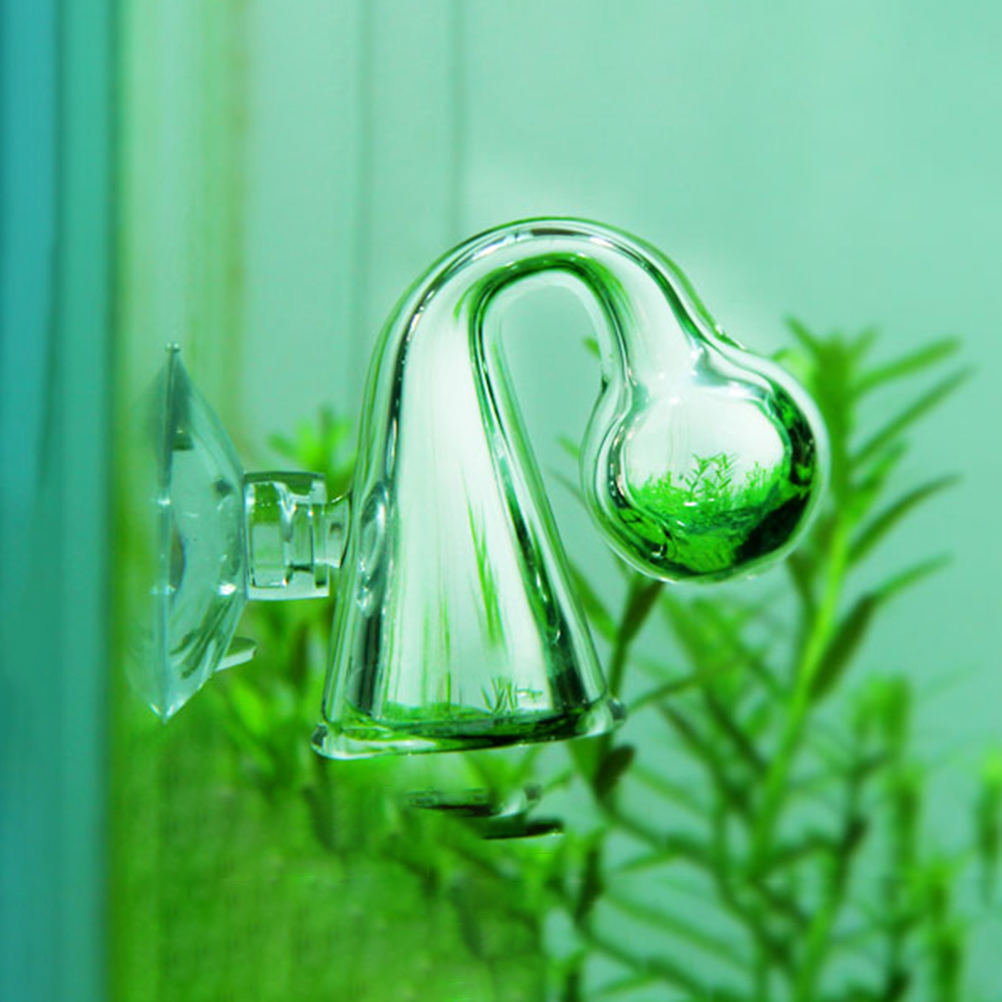 CO2สำหรับตู้ปลาที่ตรวจสอบการตก - Aquarium Fish Photography บทวิจารณ์และราคา