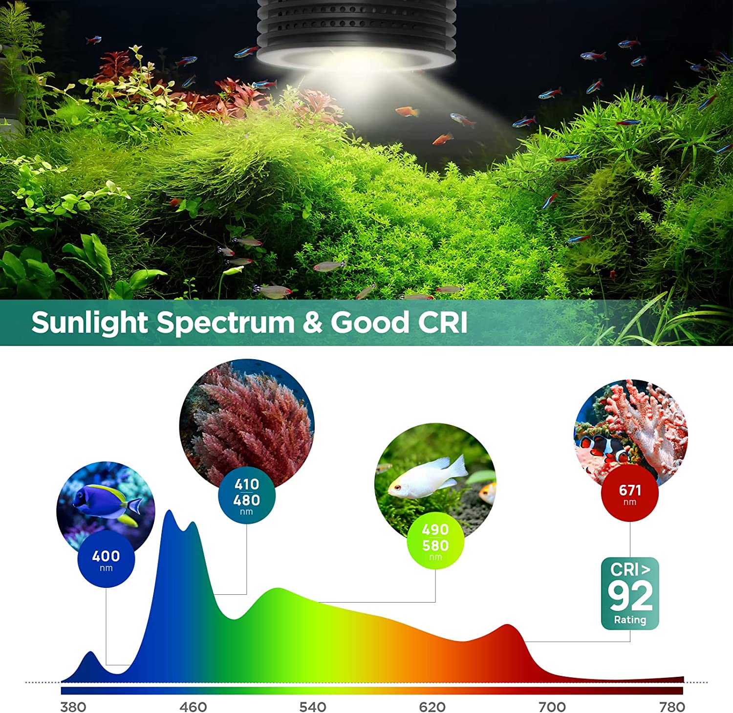 Lominie แอสต้า 20 น้ําจืด 18W  - Refugium Light Nano บทวิจารณ์และราคา