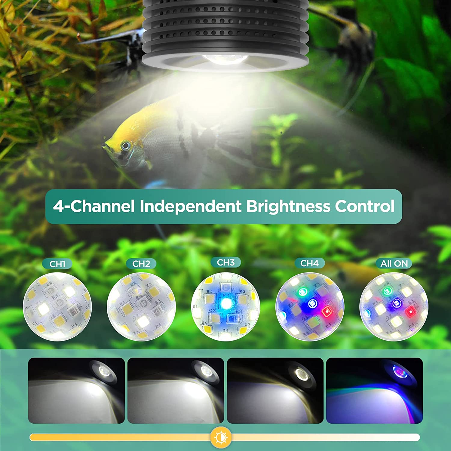 Lominie แอสต้า 20 น้ําจืด 18W  - Refugium Light Nano บทวิจารณ์และราคา