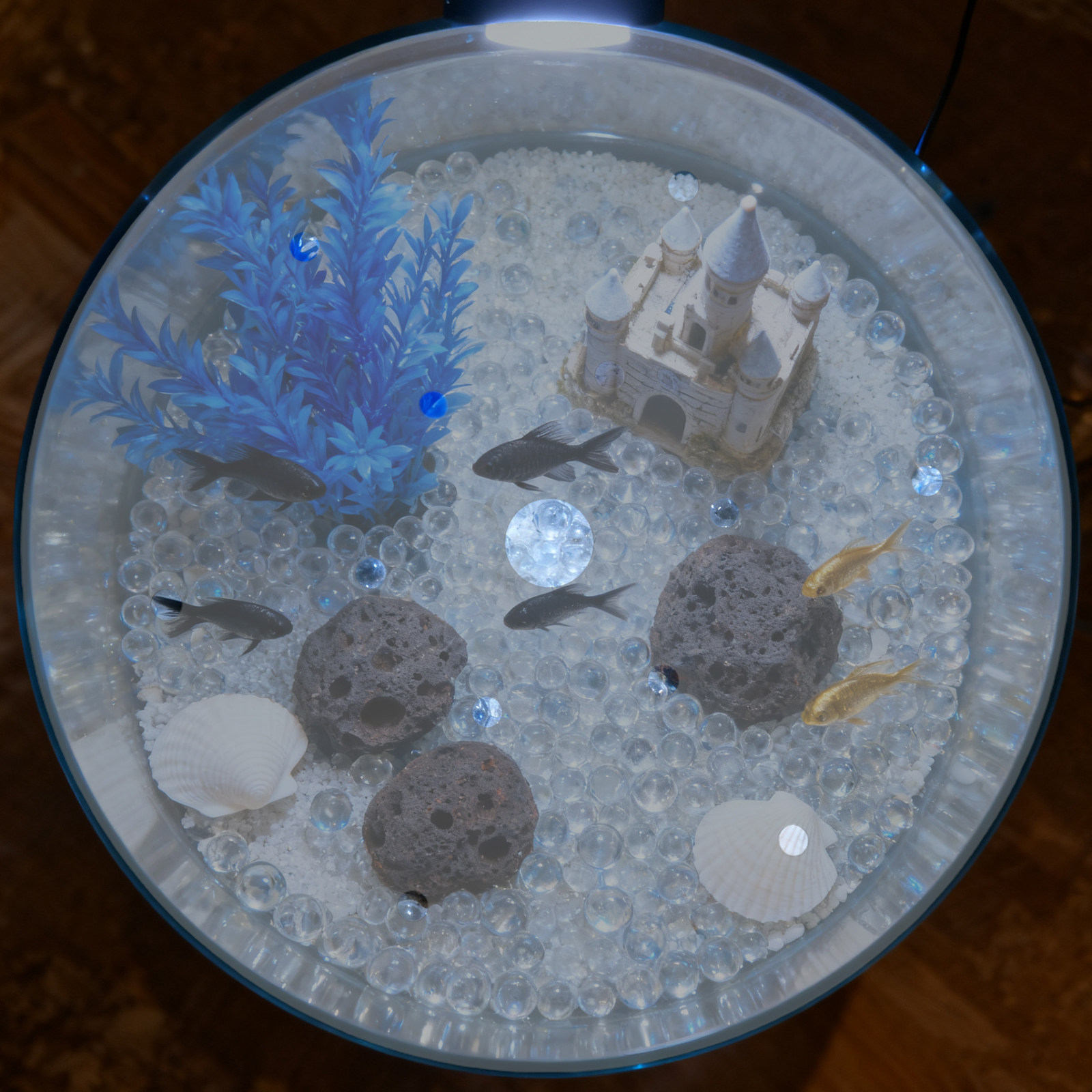 ฝาครอบตู้ปลาอะคริลิกรูปทรงกลมข - Aquarium Fish In Bowl บทวิจารณ์และราคา