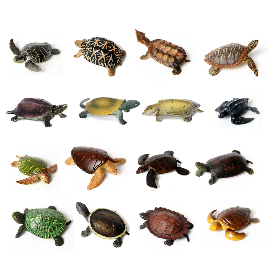 โมเดลเต่าทะเลขนาดเล็กเหมือนจริ - Aquarium Fish Marine บทวิจารณ์และราคา